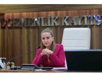 Başkan Vekili Özdemir: "Altıntaş çanağında biriken suyu denize ulaştırmak istiyoruz"