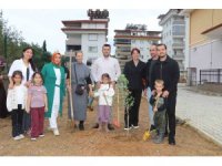 Alanya’da minik eller zeytin fidanlarını toprakla buluşturdu