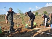 Silifke’de Şehit Savcı Mehmet Selim Kiraz Hatıra Ormanı yeniden yeşilleniyor