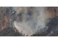 Mersin’deki orman yangınında çok sayıda sera da zarar gördü