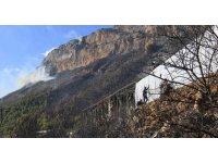 Mersin’deki orman yangınında 75 hektar ormanlık alan ile 25 dönüm sera yandı