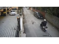 Osmaniye’de motosikletin çarptığı kedi öldü