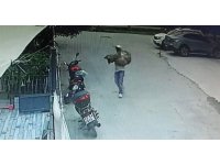 Araçla ezilen köpek kurtarılamadı