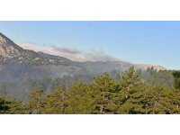 Adana’da orman yangını