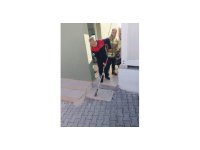 Yayladağı’nda yerleşim yerinde görülen yılan doğaya bırakıldı