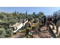 Zeytinliğe uçan kamyonetin sürücüsü yaralandı