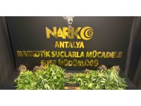 Antalya’da 32 operasyonda 28 bin 519 sentetik ecza ele geçirildi