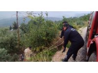 Defne’de kayalıklardan düşen vatandaş yaralandı