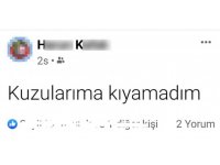Karısını boğarak öldürdü, "Kuzularıma kıyamadım" yazdı