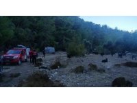 Ormanlık alanda kaybolan 3 yaşındaki çocuğu arama çalışması başladı