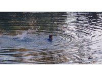 İntihar etmek için atladığı ırmaktan polis tarafından ağ file ile tekneye çıkartıldı