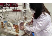 Prematüre bebeklerde en sık görülen sağlık sorunları