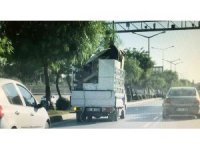 Buzdolabı üzerinde tehlikeli yolculuk