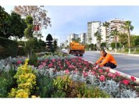 Mersin’de cadde ve refüjler mevsimlik bitkilerle bezeniyor