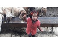 Ümitler tükeniyor... Müslüme’yi arama çalışması 10’uncu gününde