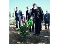 ‘Öğretmenler Günü Hatıra Ormanı’na 50 fidan dikildi