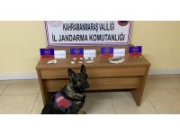 Kahramanmaraş’ta uyuşturucu operasyonunda 11 gözaltı