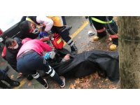 Kozalak toplarken elektrik akımına kapılıp hayatını kaybetti