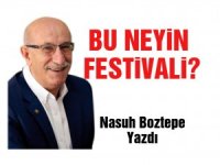 BU NEYİN FESTİVALİ?