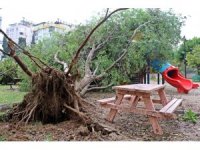 Antalya’da deprem korkusu yaşatan hortum mahalleyi savaş alanına çevirdi