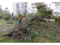Muratpaşa’da hortumun bıraktığı izler temizleniyor