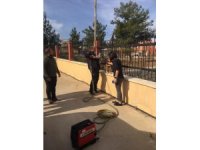 Demir parmaklıklara sıkışan köpek itfaiye ekiplerince kurtarıldı