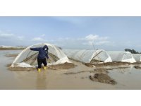 Çiftçi su baskınları sonrası seralarına girdi, çamur sebebiyle yürümekte bile zorlandı