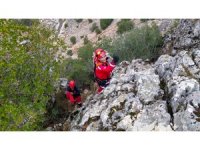 Kayalıklara düşen keçiyi itfaiye kurtardı