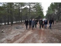 Isparta’da 110 bin metrekarelik alana ‘Millet Ormanı’ kuruluyor