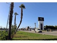 Fırtınalı havalarda görüntüsüyle tedirgin etmeye yetiyor