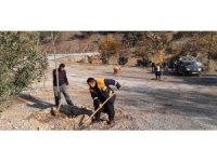 Yangın bölgesinde mesire alanı oluşturuldu