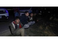 Kaçak göçmen taşıyan minibüs polisten kaçarken pamuk tarlasına devrildi