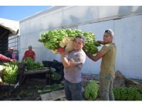 Batı Akdeniz ihracatı 2 milyar 285 milyon dolar oldu