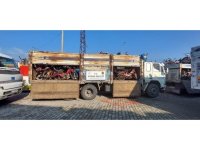 Hatay’dan Adana’ya getirilen 400 çalıntı motosiklet ele geçirildi
