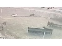 4 kişinin öldüğü kaza kamerada