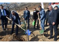 Vali Su, yanan orman alanlarında fidan dikti