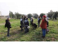 Alternatif tarım ürünleri expo ile tanıtılıyor