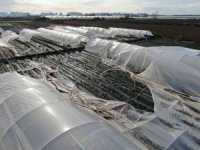 Antalya’da şiddetli fırtına çilek seralarını vurdu