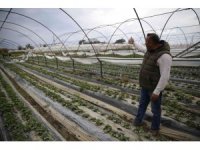 Büyükşehir’den afetzede çiftçilere 6 bin metrekare sera naylonu