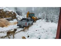 Alanya’da kara saplanan araçta mahsur kalan vatandaşları belediye ekipleri kurtardı