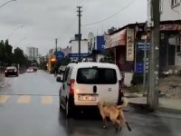 Mersin’de tepki çeken görüntü