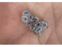 Nazar boncuğu şeklinde dolu yağdı, görenler şaşırıp kaldı