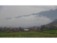 Yağmur sonrası sis bulutları ile şelale görsel şölen sundu