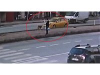 Taksi köpeğe böyle çarptı, o anları gören kadın şoka girdi