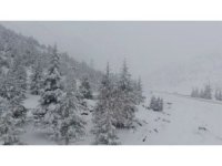 Beyaz gelinlikli orman drone ile görüntülendi