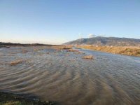 Milleyha Kuş Cenneti yağış sonrası göletler ile doldu