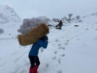 Yaban hayvanlarına yem desteği