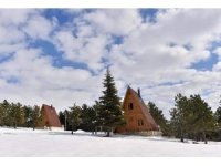 Yalnız Ardıç Mesire Alanında kartpostallık görüntüler oluştu