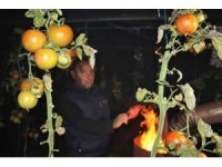 Mersin’de seralarda sobalar yakıldı, zirai don nöbeti başladı
