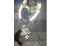Trafik polisi sahipsiz hayvanları kendi elleriyle besliyor